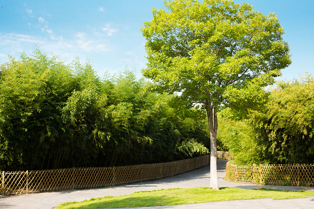濰坊市植物園景區養(yǎng)護工